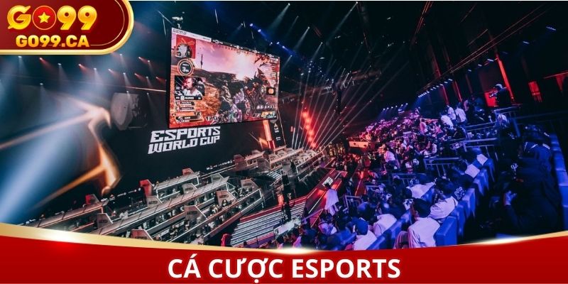 Cá cược eSports